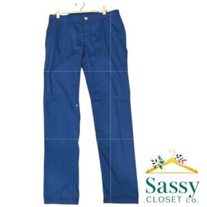 Domenico Tagliente Italian Blue Slim Straight‑Leg Pants Size 29 EUC